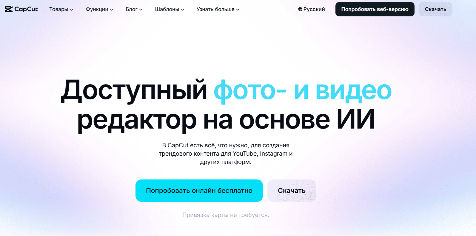 главная